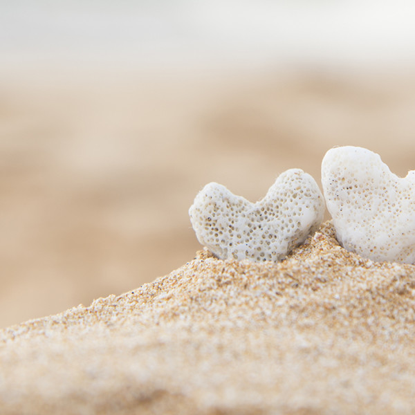 God’s Unshakable Love