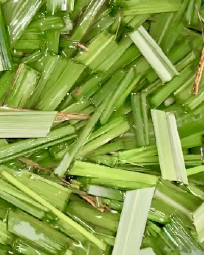 Lemon Grass Tea Recipe