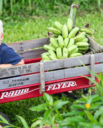 Strategy for Getting My Toddler to Eat Vegetables