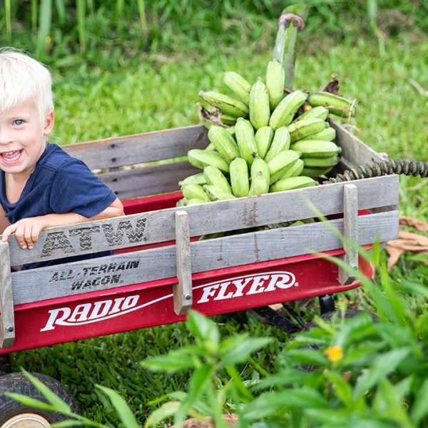 Strategy for Getting My Toddler to Eat Vegetables